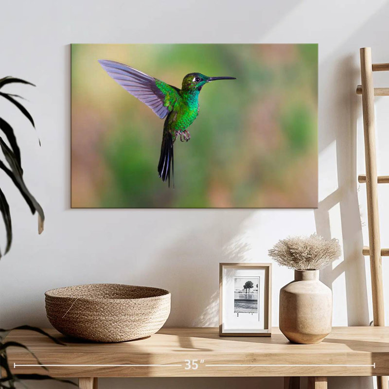 Green Fronted Hummingbird, 32" H x 48" W