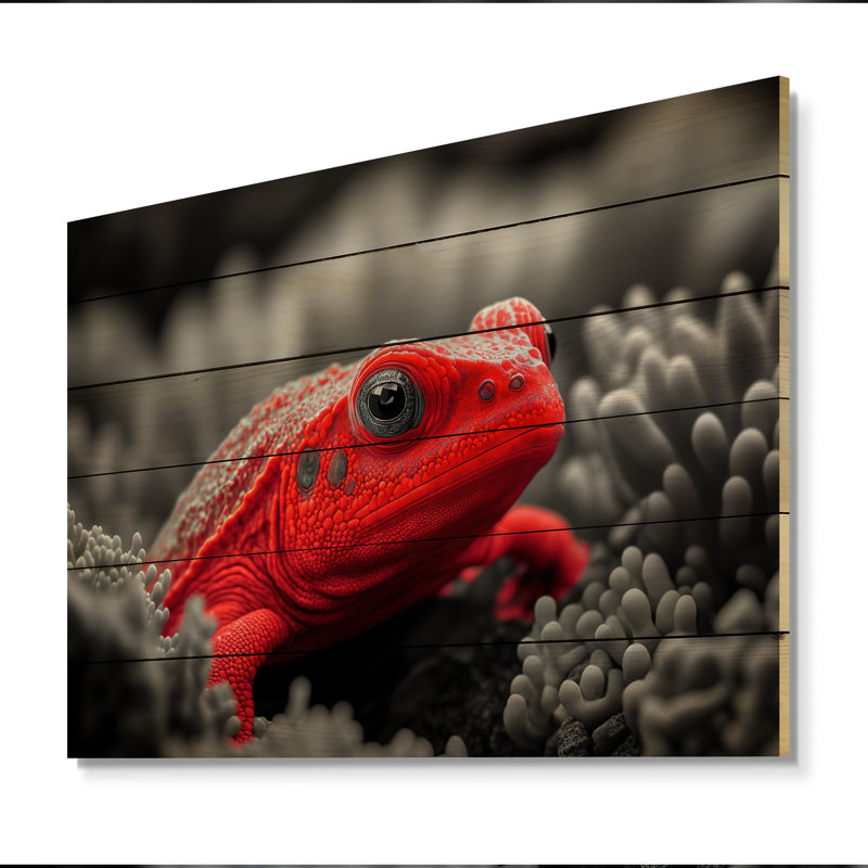 Red Underwater Creature - Animal Fish Print, 30'' H x 40'' W x 1.5'' D, Wood