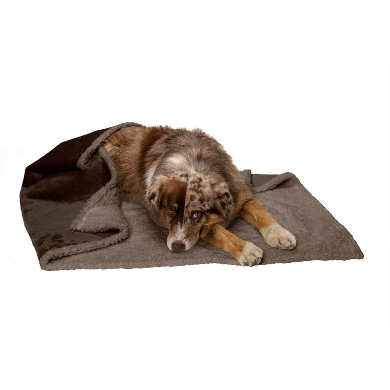 Medium Espresso Waterproof Self-Warming Pet Blanket