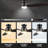 Elwina 60'' Smart Ceiling Fan with Light