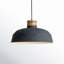 Mesmer Single Light Iron Dimmable Pendant