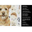 Wheaten Norfolk Terrier Coffee Bar Kitchen Towel-1234934665