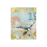 Aves 19 Print by Zoey Riley