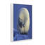 Contemplation, giclée d'ours polaire par Shane Lamb-662960020-662960021