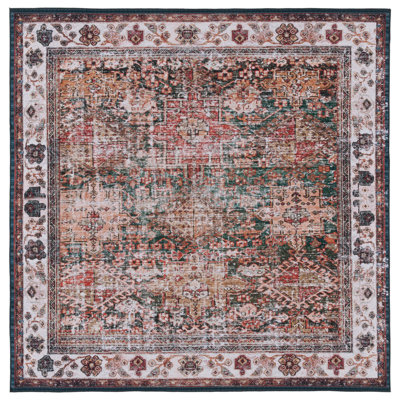 Pashen Performance Machine Washable Oriental Rug