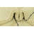 Mosser Ivory Rug