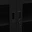 Armoire de bureau en acier-21372261-62222110