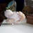Fortunna Landscape & Nature Crystal