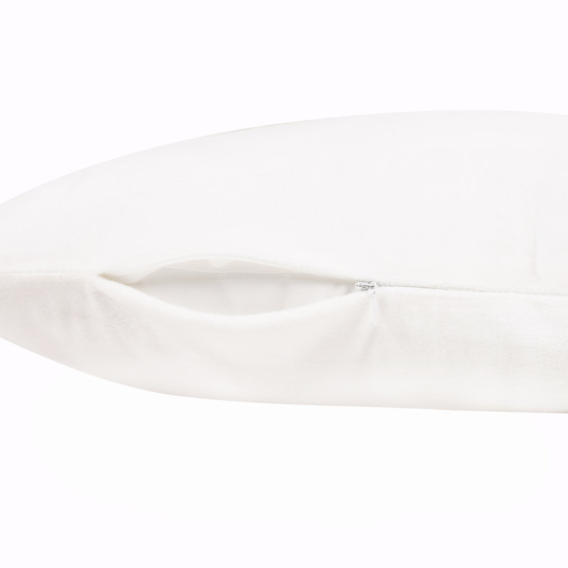 Velvet Pillowcase - Set of 2, King, White