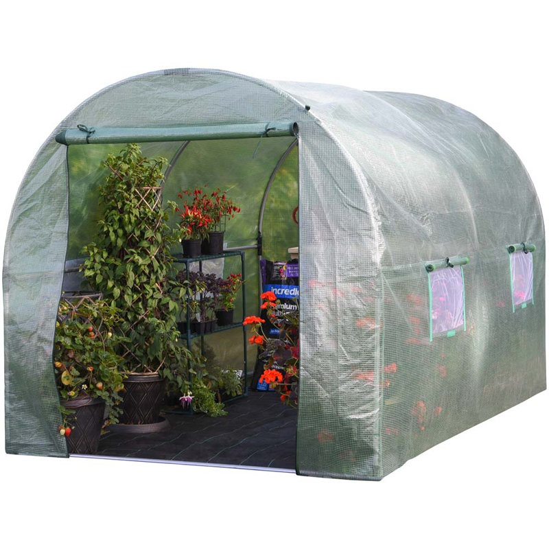 Polytunnel, 6.5ft W x 10ft D