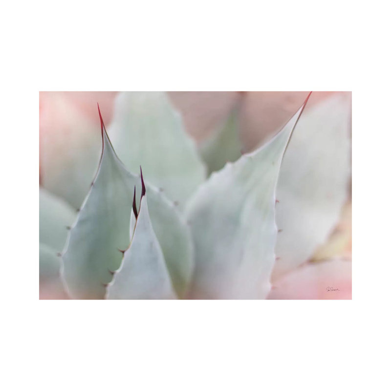 Dream Desert VI by Sue Schlabach - Wrapped Canvas Print, 20.32 cm H x 30.48 cm W