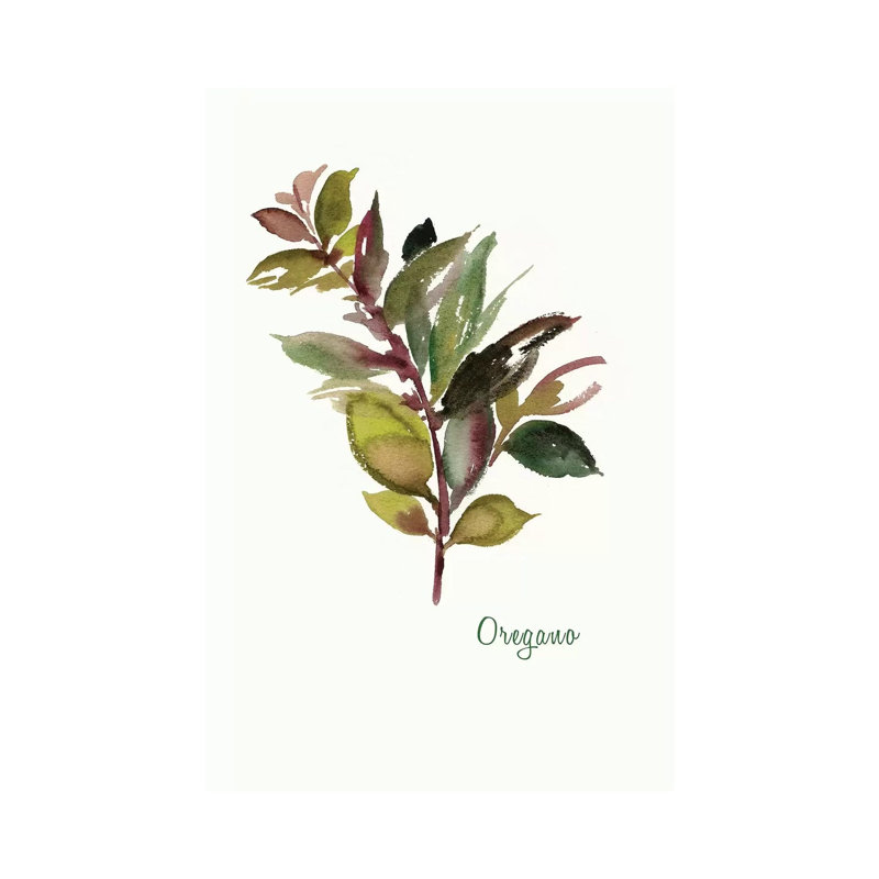 Oregano 1 Piece Wrapped Canvas Painting, 66.04 cm H x 45.72 cm W x 3.175 cm D