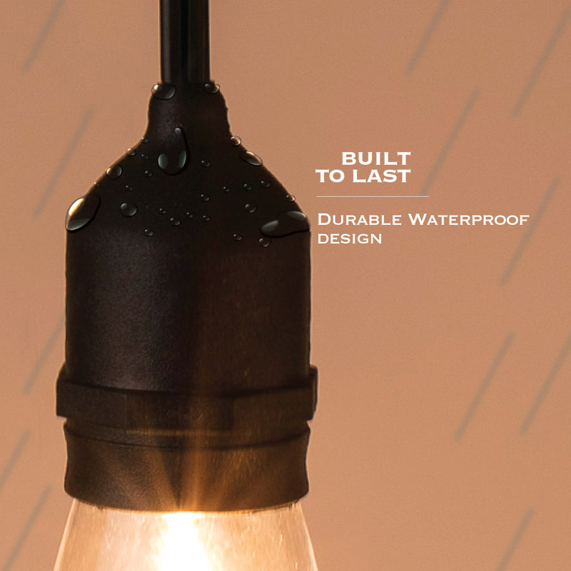 Cortlynn Outdoor 30 - Bulb 96'' Plug-in String Light