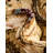 Niles Floral Indoor Rug-19394738