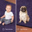 Tapis carré carré Mendota-1645192662