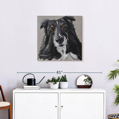 Brampt Sheltie On Gray