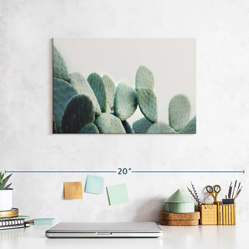 Cactus Harnek vert pastel, H 8 po x l 12 po