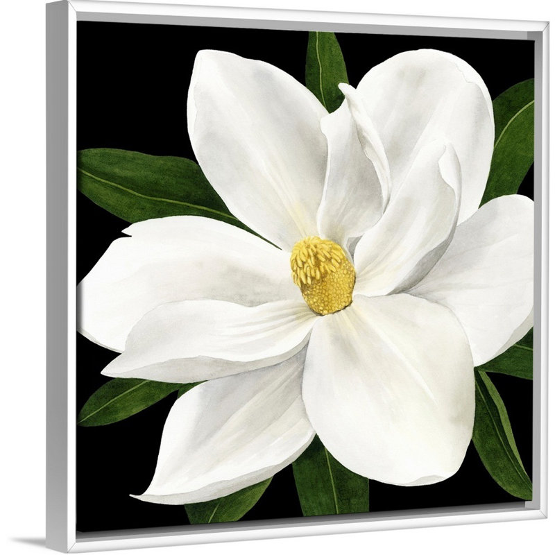«Midnight Magnolia II», art mural sur toile, Cadre blanc, H 36 po x l 36 po x P 1,75 po