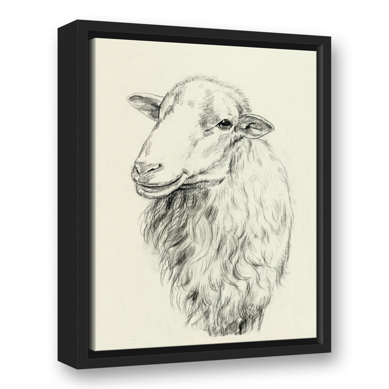 « campagne mouton sketch », reproduction de dessin sur toile tendue, H 18 po x l 12 po, Toile tendue