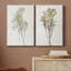 «Farmhouse Pressed Flower I», ensemble de 2 impressions-1475514624-1475514653