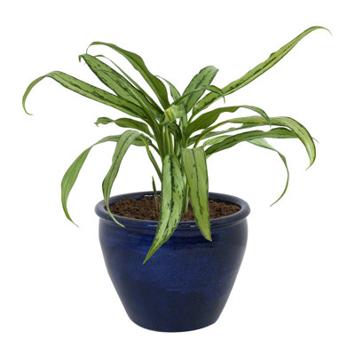 Alawi 14.5" x 14.5" x 11.25" Round Ceramic Outdoor Planter - Imperial Blue