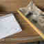 Photos des clients 3 de 6