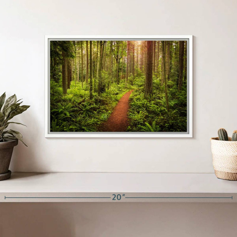 Washington Rainforest, Cadre flottant blanc, 13 po x 9 po