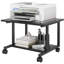 30cm H x 52cm W Printer Stand
