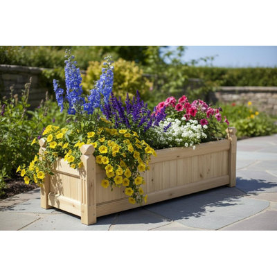 Lit de jardin surélevé en bois surélevé