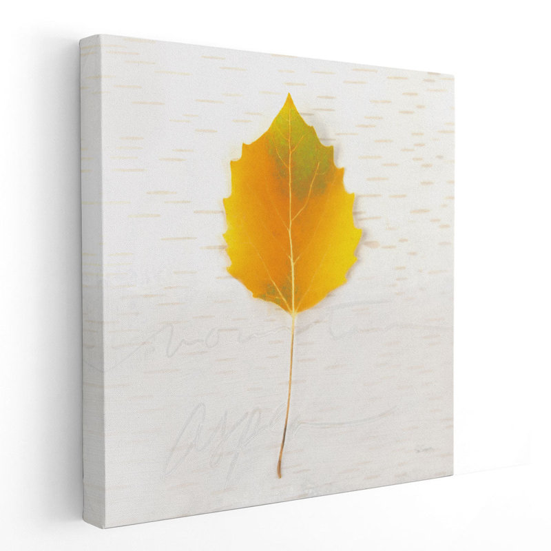 Couleurs d'automne III - reproduction d'art sur toile, H 24 po x l 24 po