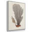 Knorr Shells & Coral I, ensemble de 3 toiles encadrées sur toile-97792422-97792427