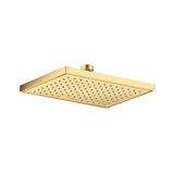 Rain Fixed Shower Head