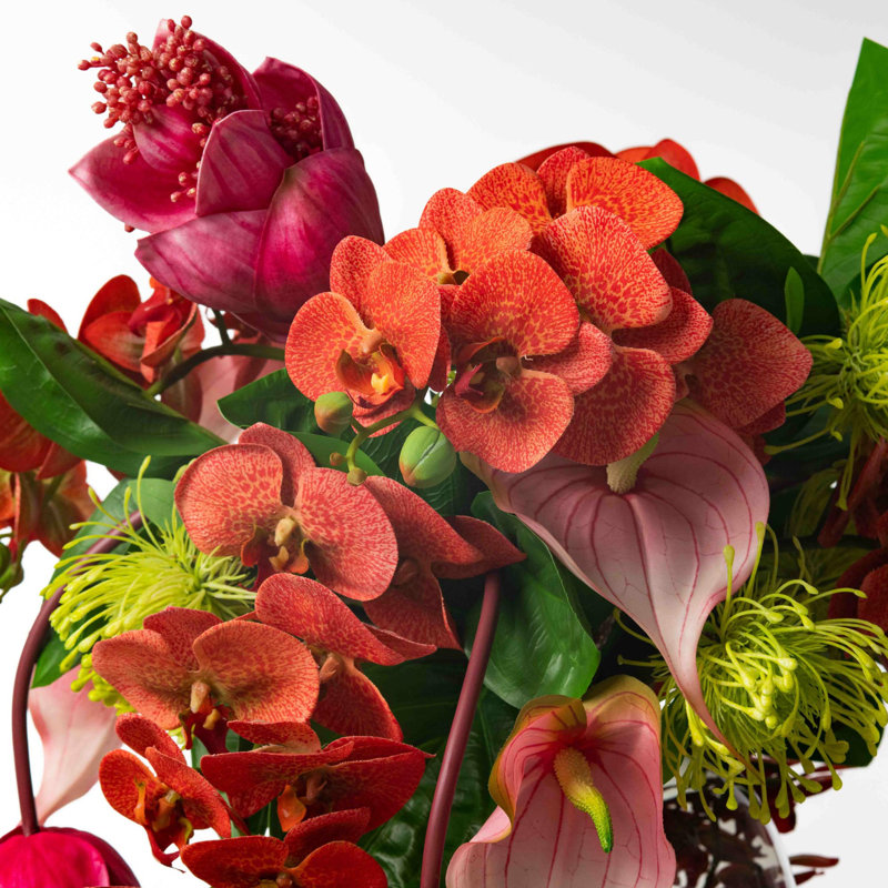 Isle of Magnifica Orchid Floral Arrangements in Vase