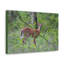 No Frame Print on Canvas-930529507
