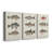 Species of Antique Fish III - 3 Piece Wrapped Canvas Graphic Art Set-1074064771