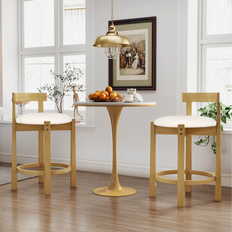 24” Counter Height Bar Stools Set of 4 with Backrests and Footrests for Dining Room, 4