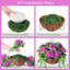 Arrangement en panier-1586801417