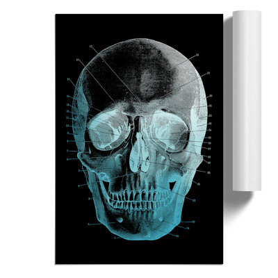 Black Twilight Skull - Frameless Print