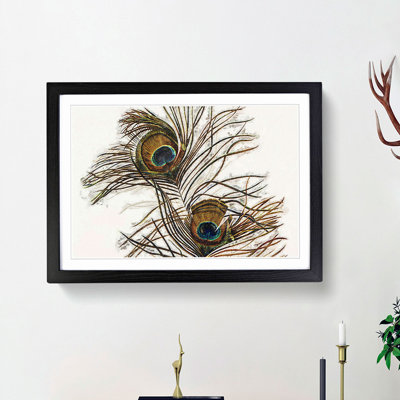 Vintage Peacock Feather Illustration - Picture Frame Painting Print
