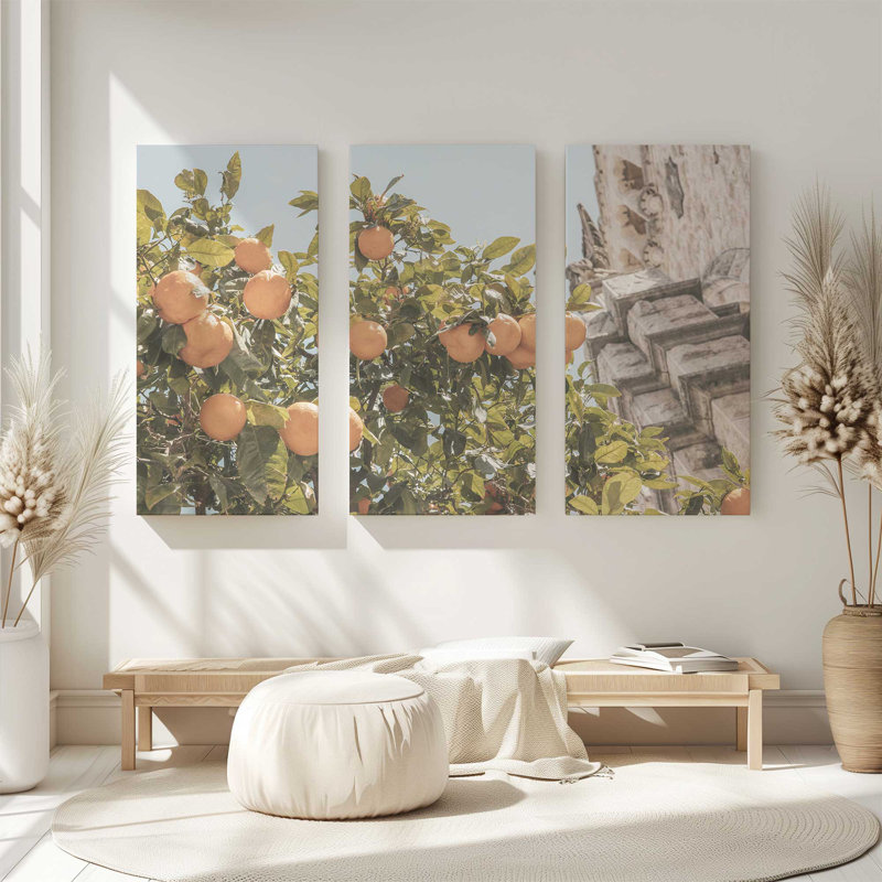 Agrume méditerranéen | Impression sur toile 3 panneaux, H 36 po x l 54 po