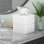 Aquavia Tissue Box Cover