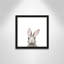 Art encadré en lapins forestières-48188938-48188939
