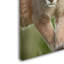 Ann «Cougar», reproduction d'impression sur toile tendue-24189458