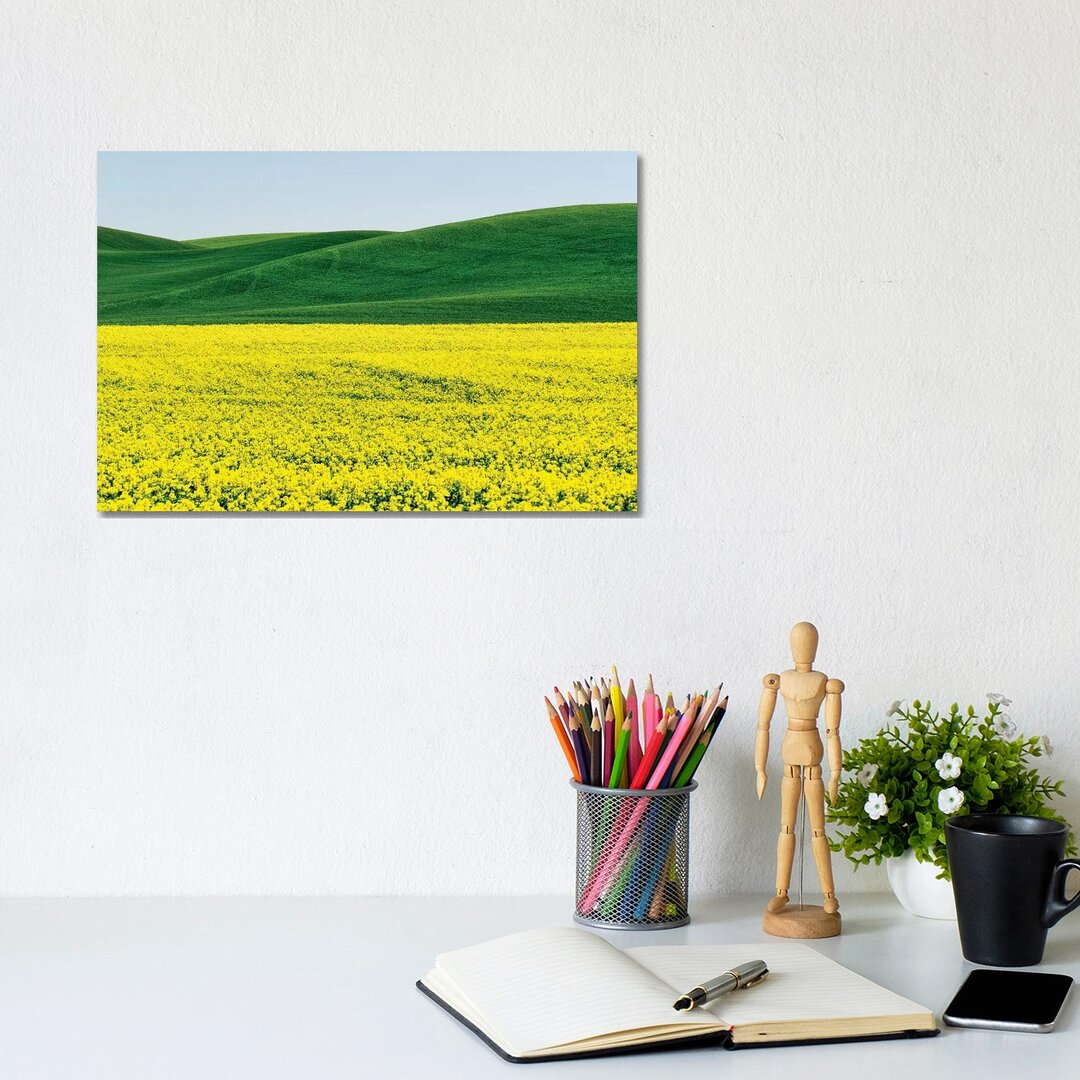 Canola Field In Spring von Terry Eggers - No Frame Gallery-Wrapped Canvas Giclée on Canvas