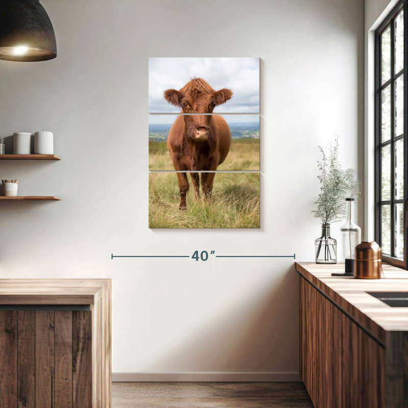 Vache de campagne anglaise brun Brampt, H 38 po x l 24 po
