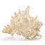 Higham Decorative Object
