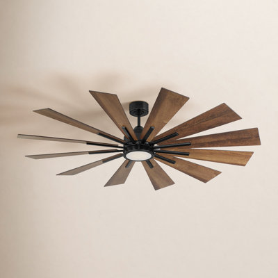Archibald 60'' Ceiling Fan with LED Lights