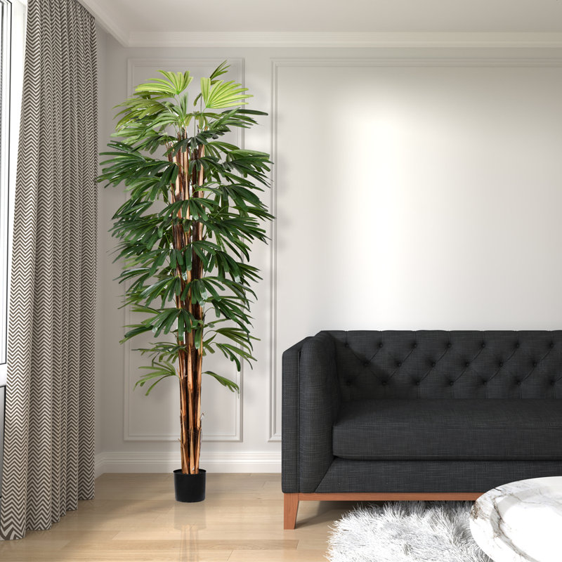 Rhaphis Arrangement in Planter, 84" H x 38" W x 38" D