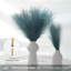 Herbe de 17 po Pampas-2050360863
