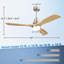 Ceiling Fan with LED Lights
